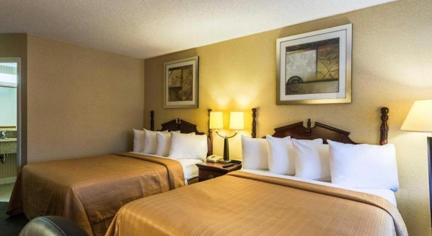 Quality Hotel